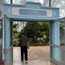 제주 여미지식물원 임산부 태교여행 코스 다녀온 후기