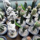 양준농장 이미지