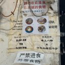 신흥환경 | 홍콩맛집 신흥유엔 토마토라면 현지인 찐 노포감성 후기