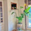 모망드레브 이미지