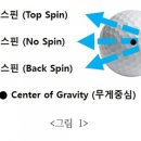 탑스핀골프 이미지
