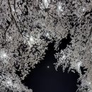 만선감자옹심이 이미지