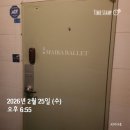 서일유통 | 월간 샤이네[2월호]