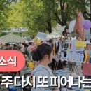 문화의거리 네이버블로그