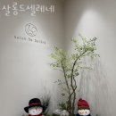 셀레네 이미지