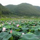 삼지수변공원 이미지