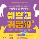 오늘도 귀엽개 이미지