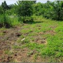 노성주유소 이미지