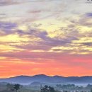 멍청이농장 이미지