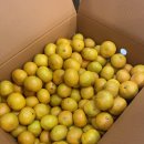 덕호농장 이미지