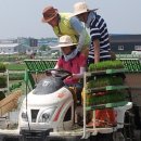 화성육묘장