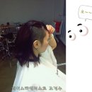 헤어박스타일리스트 이미지