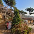 솔토락 팬션 네이버블로그
