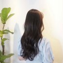 빠마미용실 이미지