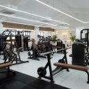 머슬 타임 이미지