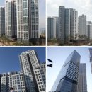 네임펫