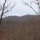 들국화목장 이미지