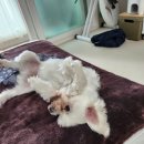 행복한집밥 - 강서구 | 행복한집밥