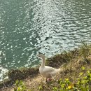 바레 | 언주역 역삼동 바레 체험 후기｜초보자도 하기 좋은 바레필라테스