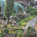 세차마당 이미지