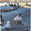 묘한인생 | 황남동타로 경주에서 찾은 인생의 나침반, 묘한사주타로