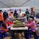 청양 3리 이미지