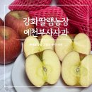 예천농장 | 고당도 부사사과 예천 경북사과 특품 2kg 강화딸램농장