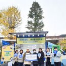 요거트달 이미지