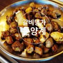 갈비명가돈양계