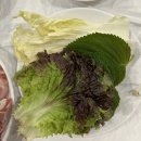 파인앤유아파트 어린이놀이시설 | 인천 삼겹,대패 삼겹 맛집 ‘최대패 인천 송림점’ 송림동 고기 찐 맛집 추천!!