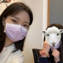 일일향 광화문점 이미지