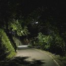 산장 러브스토리 | 2025년 8월 독서기록