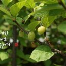 오포2동-4 이미지