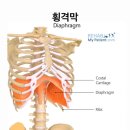 제왕갈비