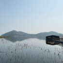 볼음저수지 이미지