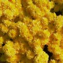 용의발광장 이미지