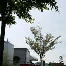 강진호수공원캠핑장 이미지