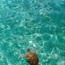 카페 태도 이미지