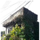 운천3리 이미지