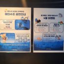 [여행로그-여수] 고래부터 해파리까지, 바다 생명들과...관람 꿀팁 | 내돈내산 아쿠아플라넷 방문 후기