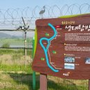 마중생태 이미지