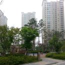 동안초등학교 옆 이미지