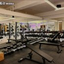 머슬팩토리easy