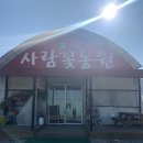 봉담꽃농원 | 화성 봉담 꽃집 사람꽃농원 꽃다발 솔직후기