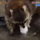 디스앤댓 이미지