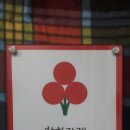 신성직업소개소 - 제주시 서사로 10 | 신성직업소개소