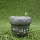 프롬더소일 이미지