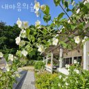 두래농원 | 양주카페 내마음의숲 대형베이커리카페 찾을 때 여기!