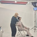 첼리헤어
