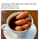 비엔나 이미지